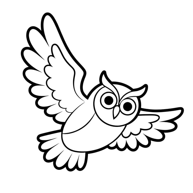 Jedna sova omalovánka