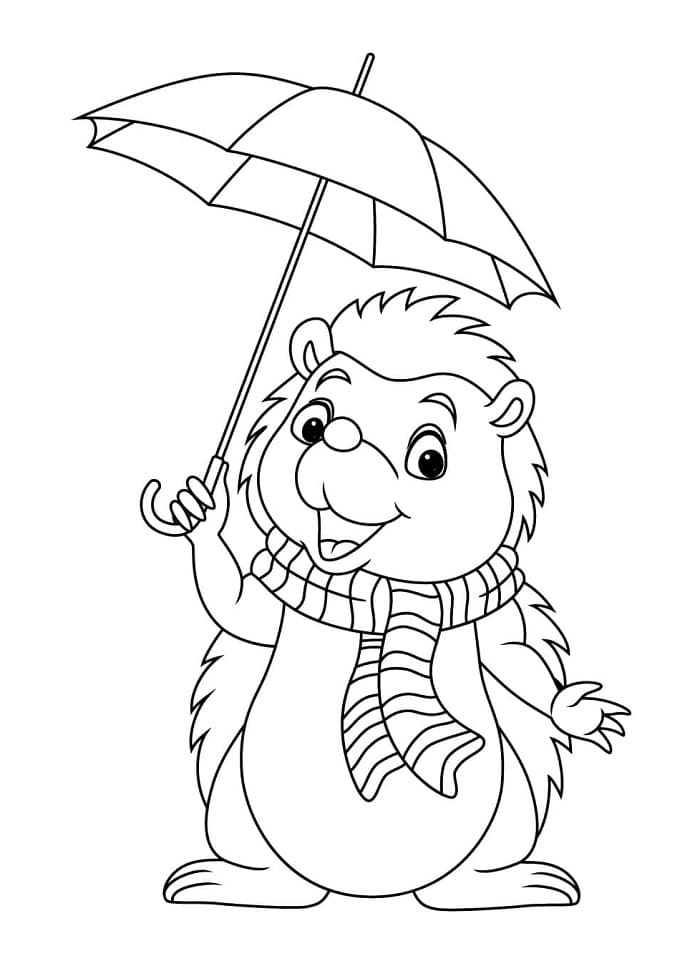 Ježek Zdarma Tisknutelný omalovánka