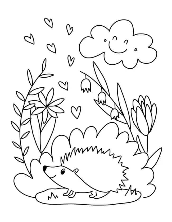 Ježek pro 3leté Děti omalovánka