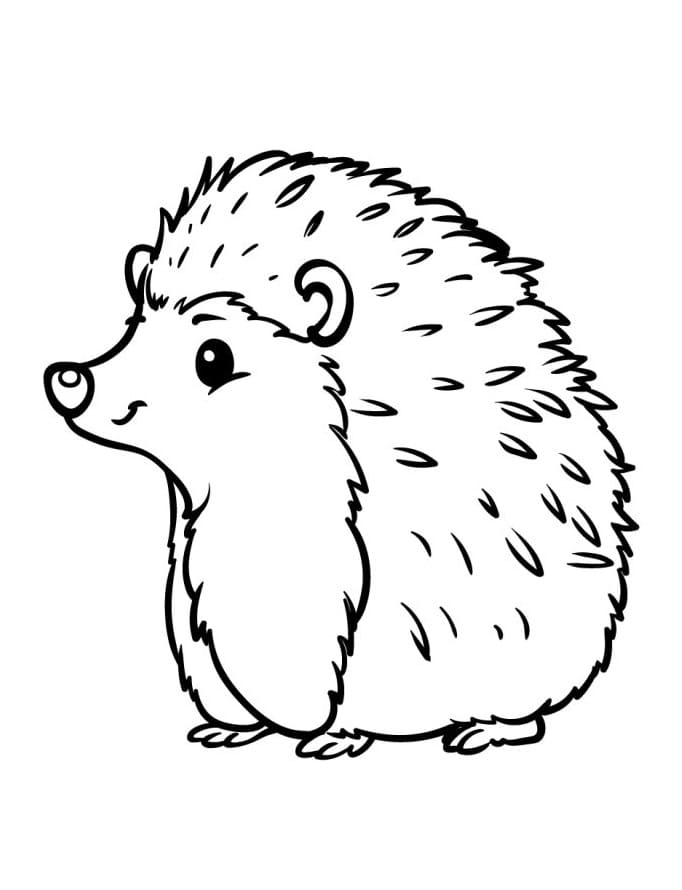 Ježek pro 4leté Děti omalovánka