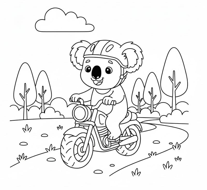 Koala jede na motorce omalovánka