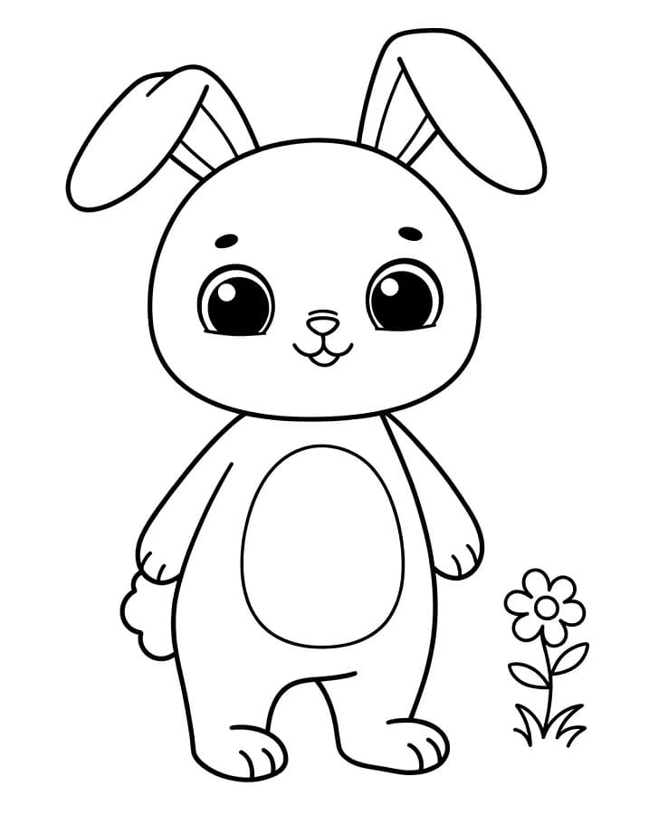 Králík Zdarma Tisknutelný omalovánka