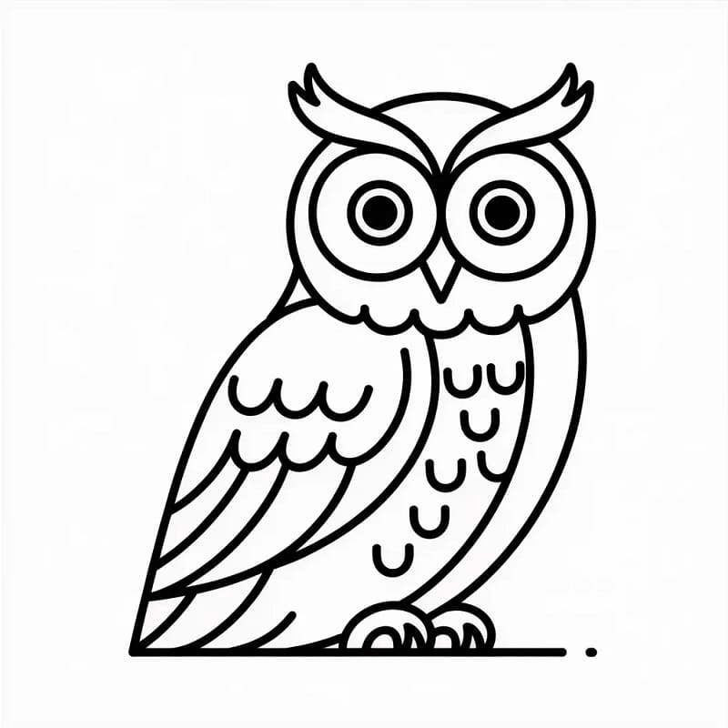 Krásná sova omalovánka
