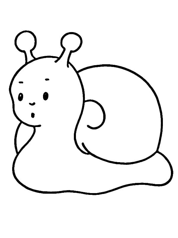 Krásný Hlemýžď omalovánka