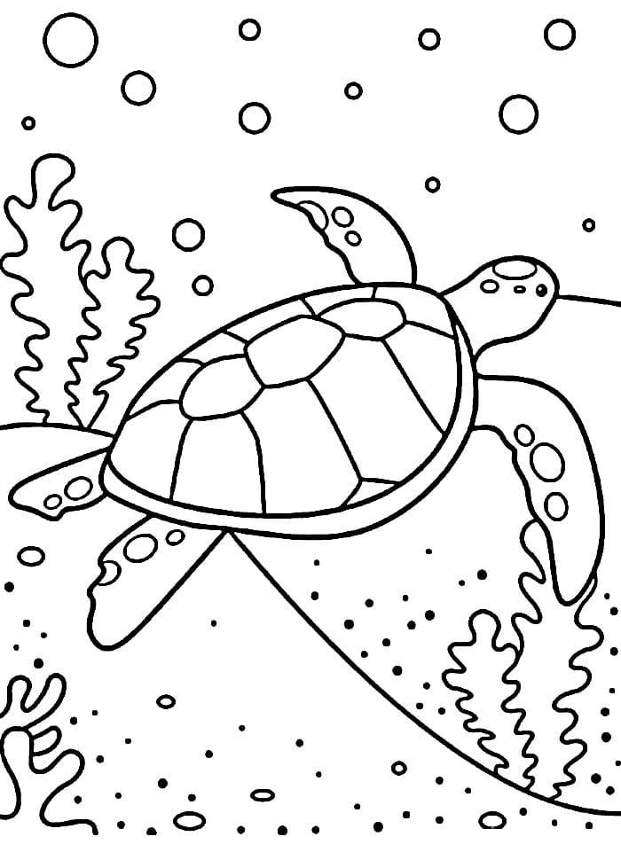 Kreslená Želva omalovánka