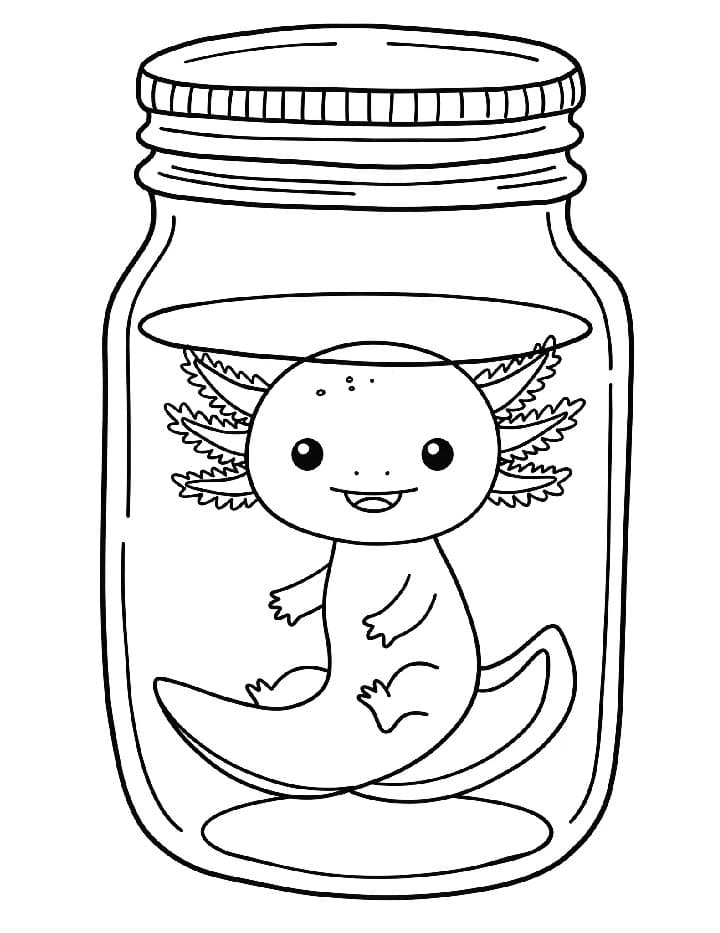 Malý Axolotl omalovánka