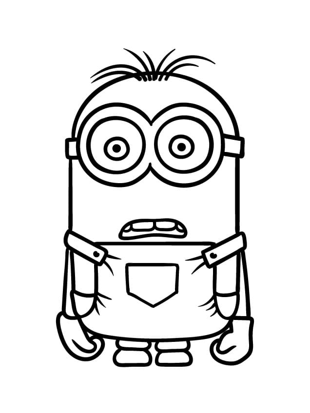 Minion krok 5