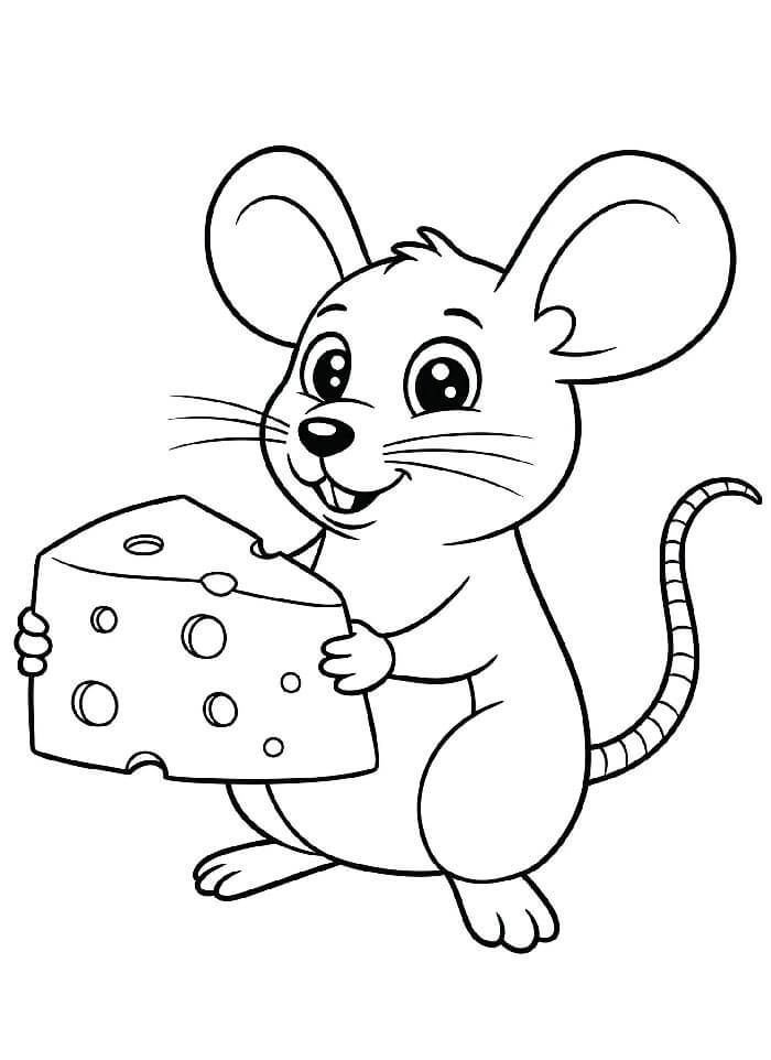Myš k vybarvení omalovánka