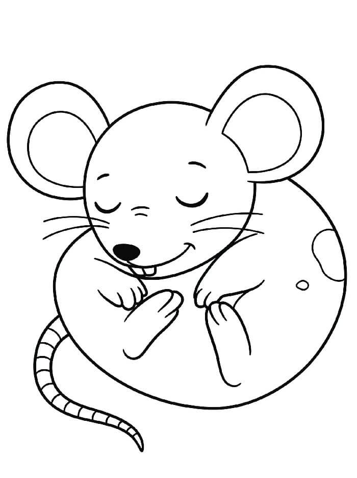 Myš pro 6leté děti omalovánka