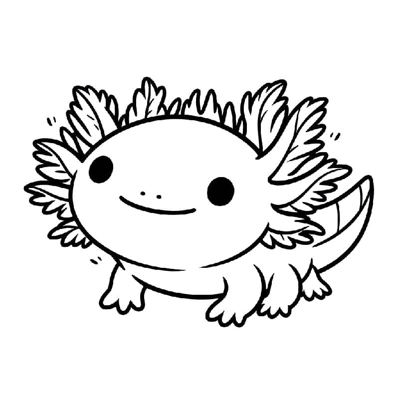 Normální Axolotl omalovánka