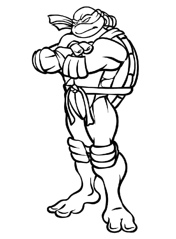 Obrázek Želvy Ninja zdarma omalovánka