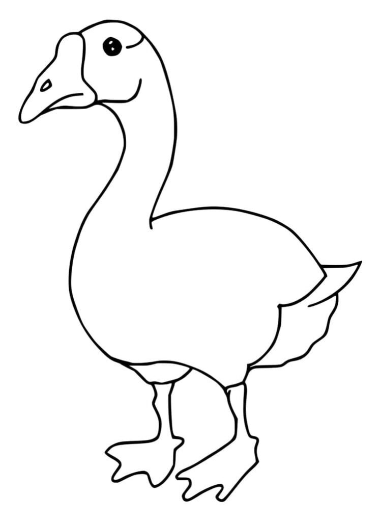 Omalovánka Pěkná Husa