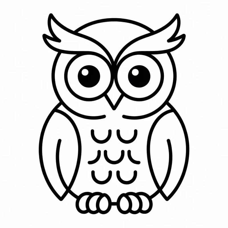 Pěkná sova omalovánka