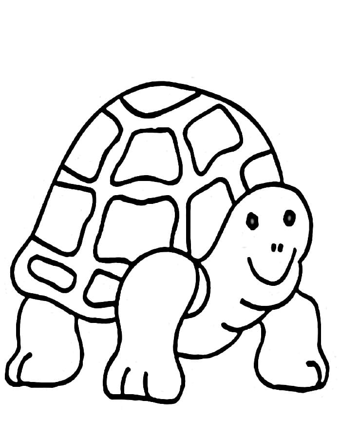 Rozkošná Želva omalovánka