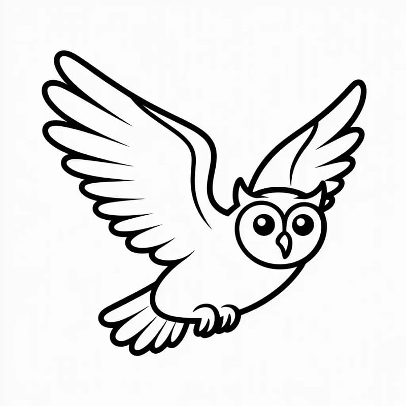 Roztomilá sova omalovánka