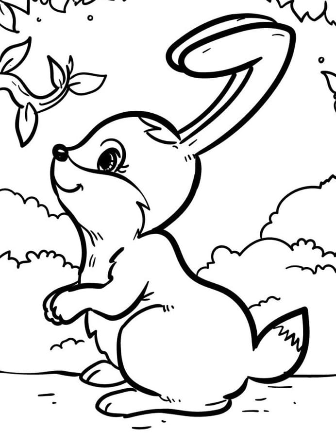 Roztomilý Králík omalovánka