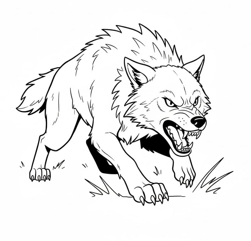 Rozzlobený vlk omalovánka