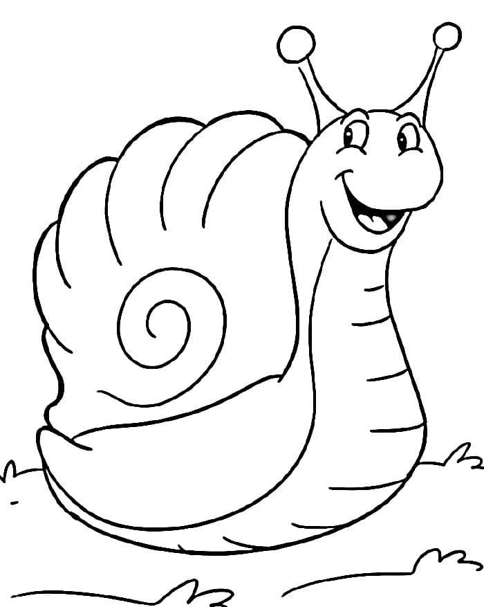 Snadný Hlemýžď omalovánka