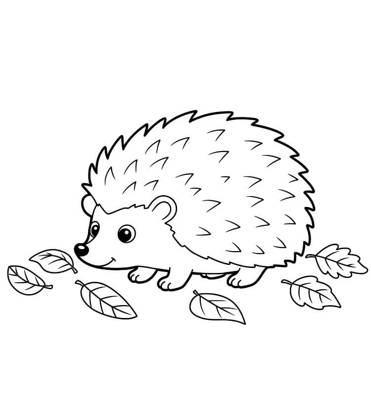 Snadný Ježek omalovánka