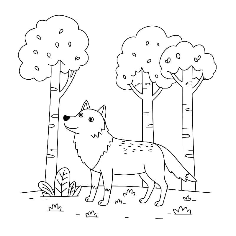 Snadný Vlk omalovánka