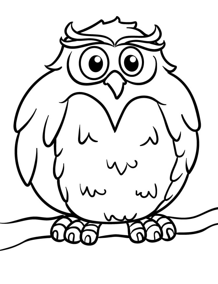 Sova k tisku omalovánka