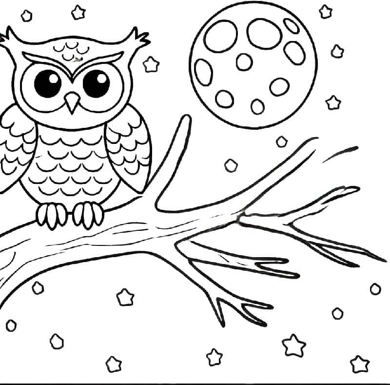 Sova pro děti 4 roky omalovánka