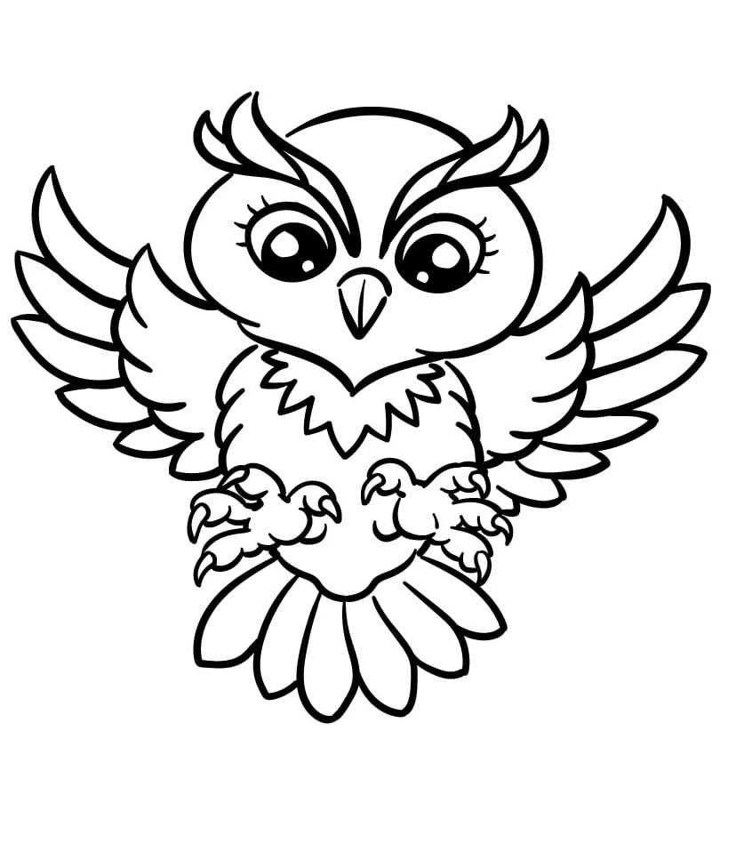 Sova pro děti omalovánka