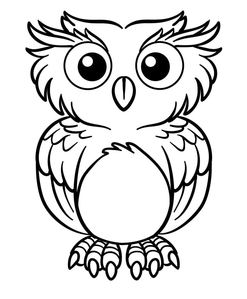 Sova tisknutelná omalovánka