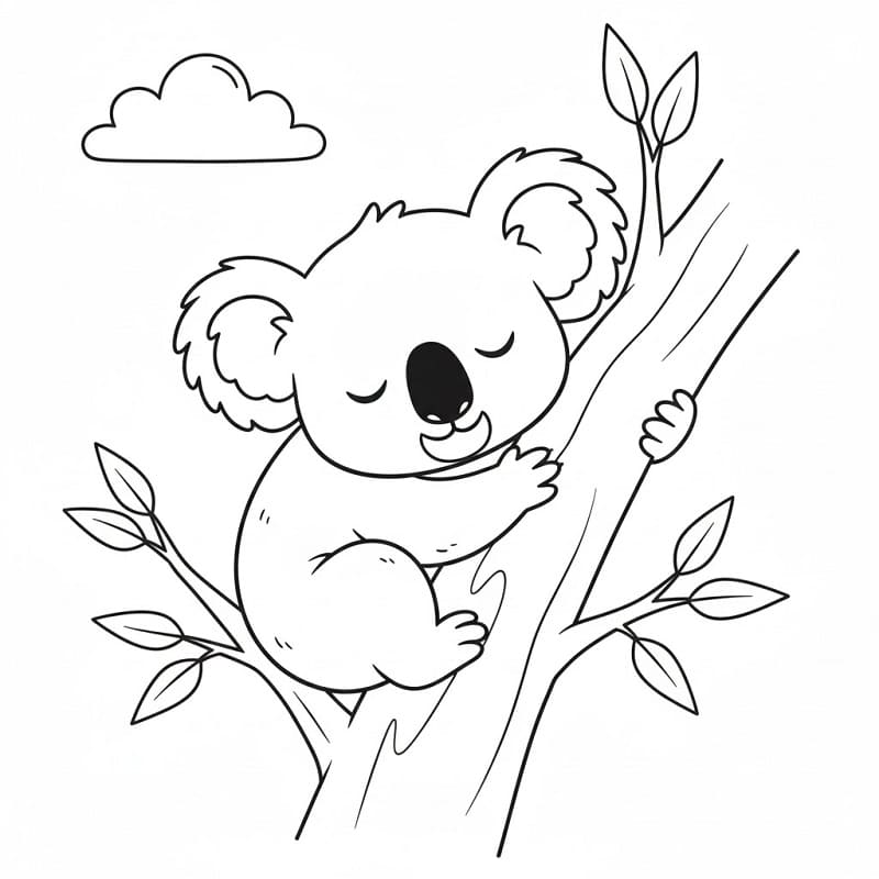 Spící koala omalovánka