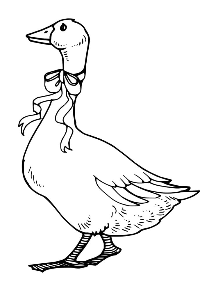 Tisk Husa omalovánka