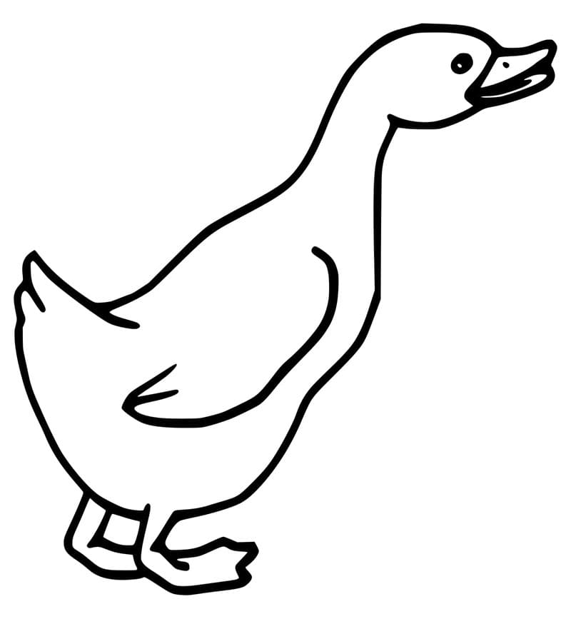 Tisknutelná Husa omalovánka