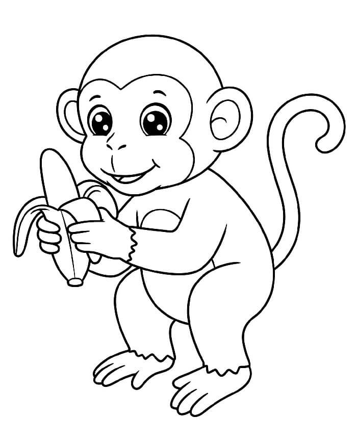 Tisknutelná Opice Obrázek omalovánka