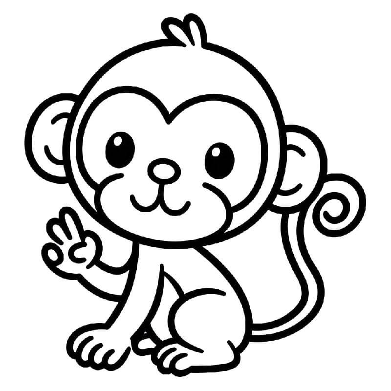 Tisknutelná Zdarma Opice omalovánka