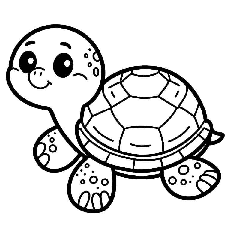 Tisknutelná Zdarma Želva omalovánka