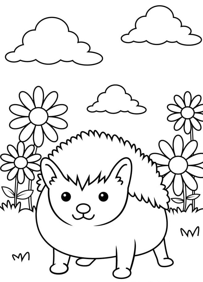 Tisknutelný Zdarma Ježek omalovánka