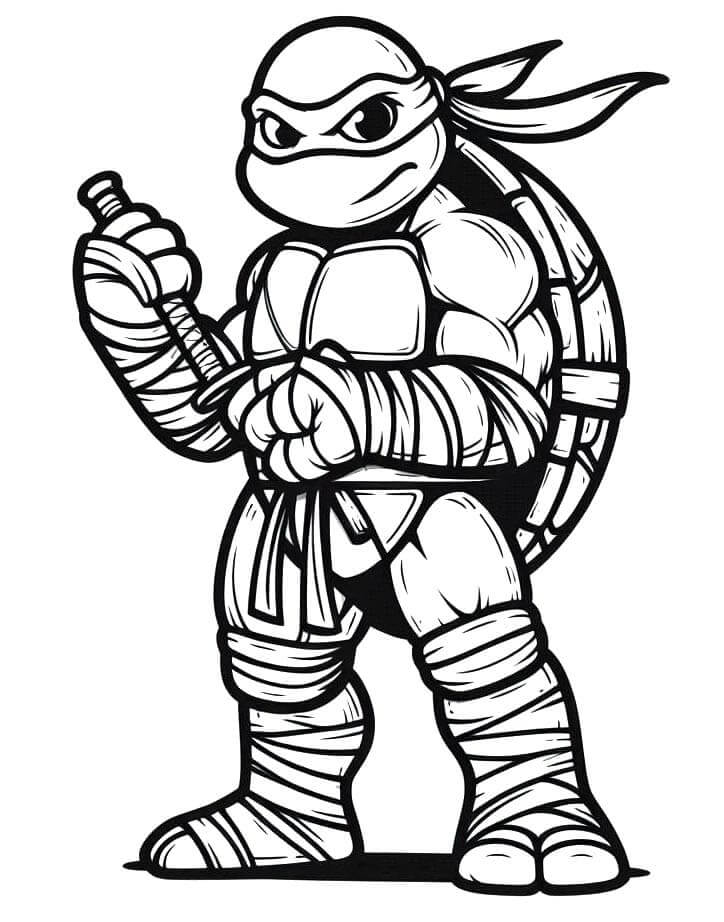 Tisknutelný obrázek Želvy Ninja omalovánka