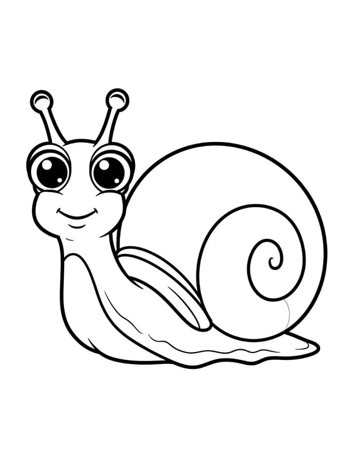 Hlemýžď omalovánky