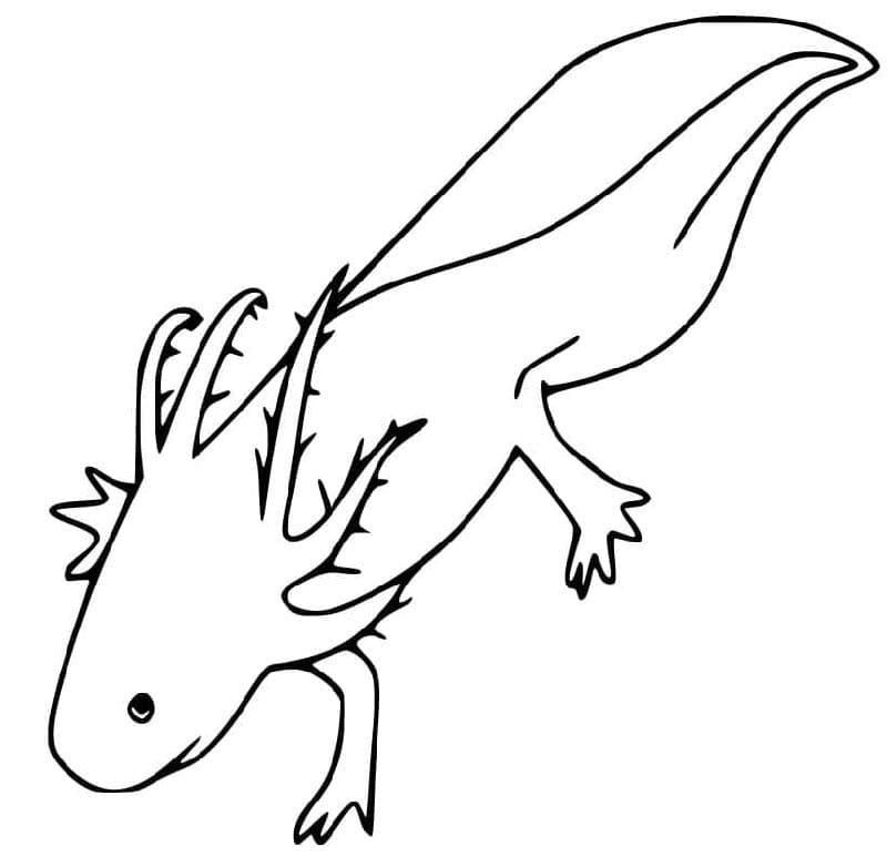 Veselý Axolotl omalovánka