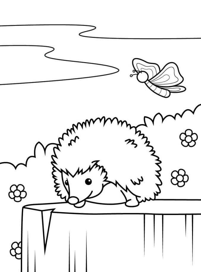 Veselý Ježek omalovánka