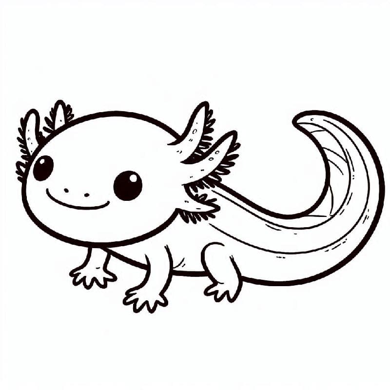 Vytisknout Axolotl omalovánka