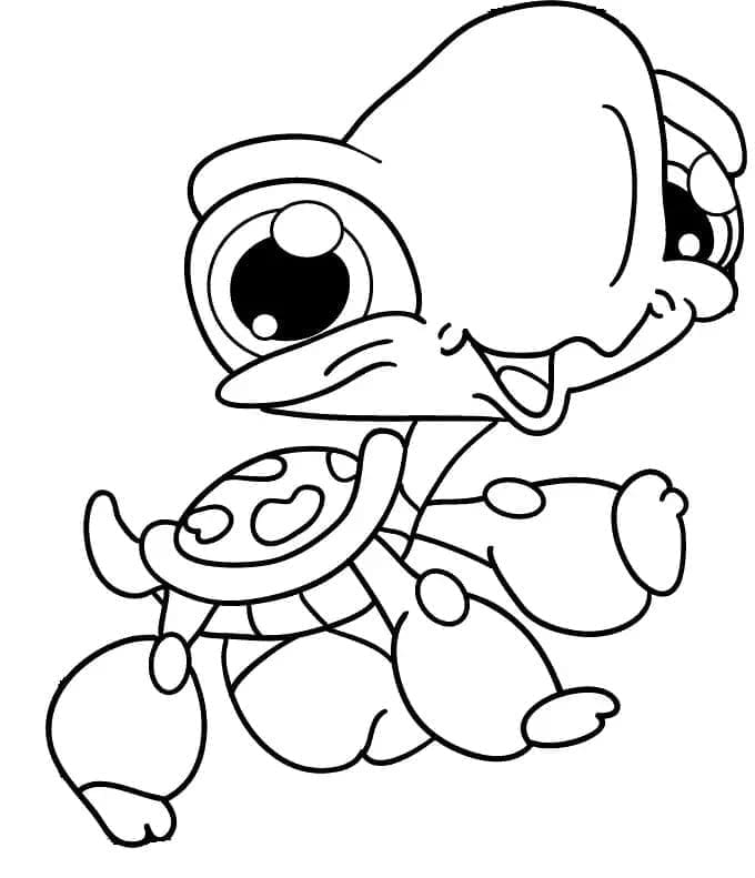 Vytisknout Želvu omalovánka