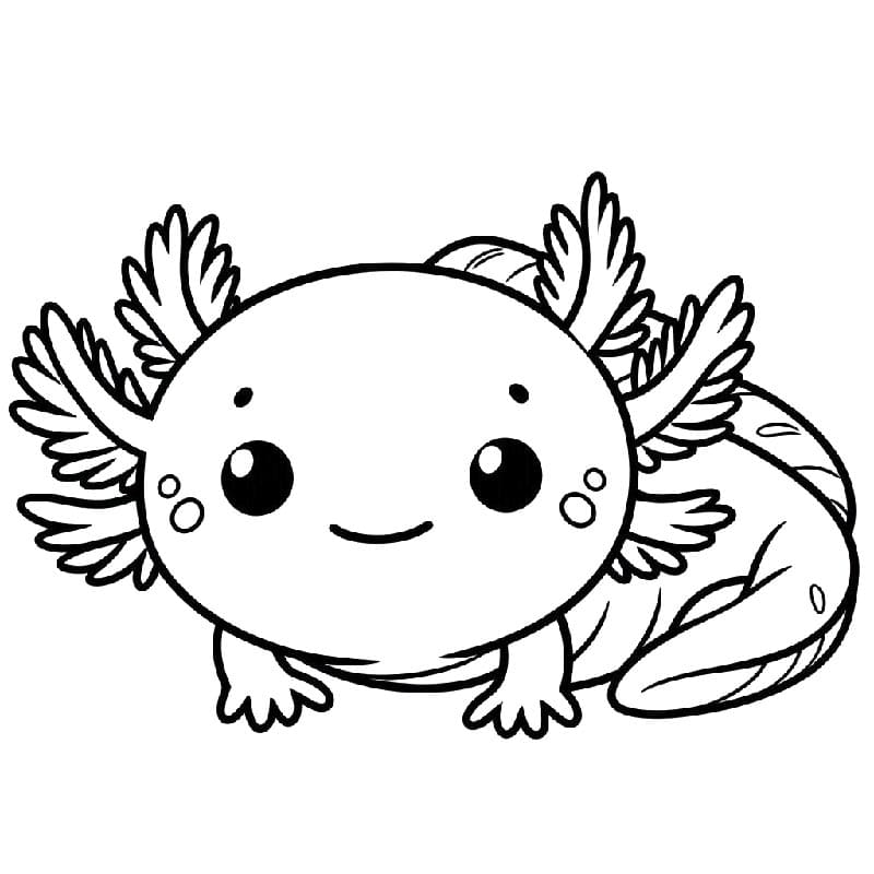 Základní Axolotl omalovánka