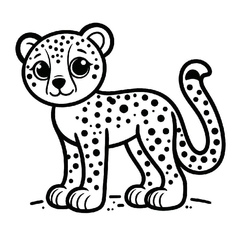 Zdarma Gepard Tisknutelná omalovánka