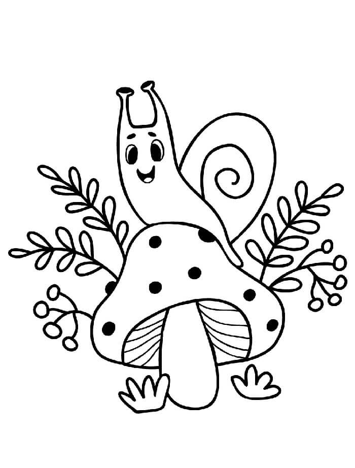 Zdarma Hlemýžď Obrázek omalovánka