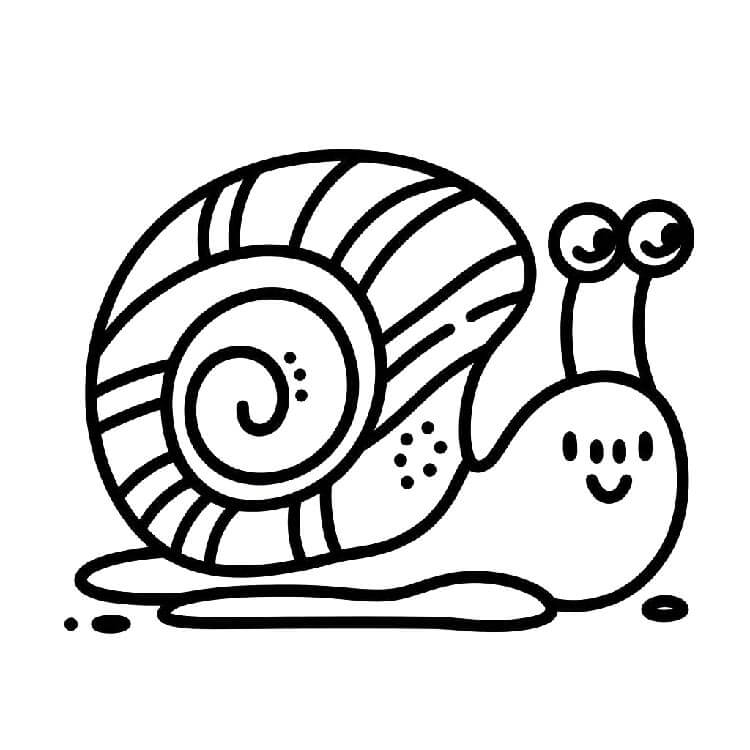 Zdarma Hlemýžď Tisknutelný omalovánka