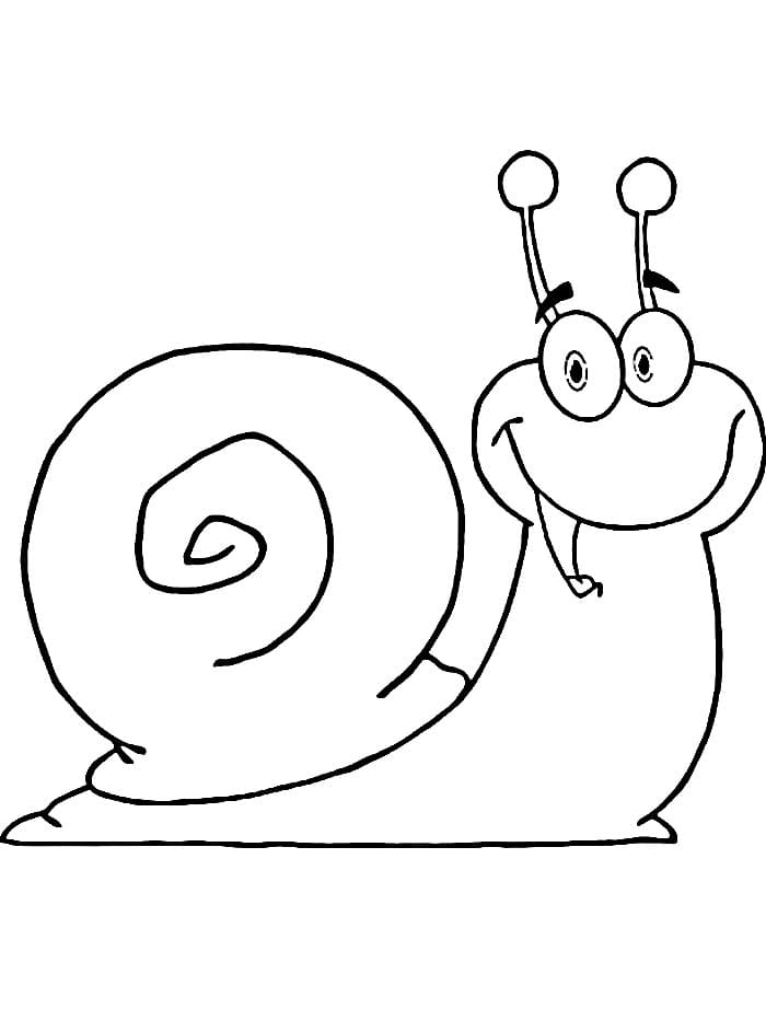 Zdarma Hlemýžď omalovánka