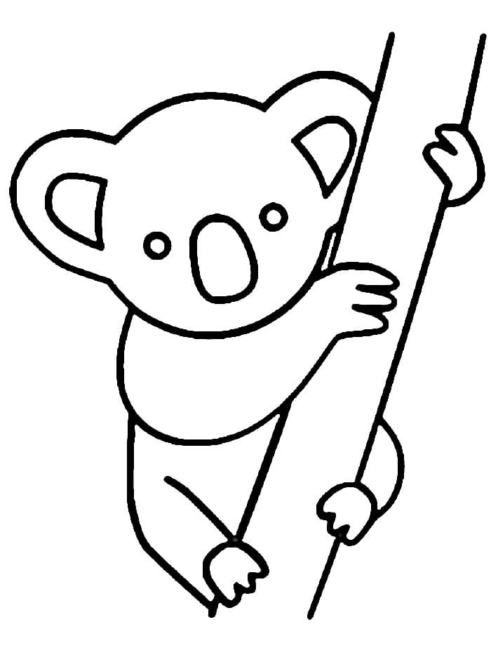 Zdarma Koala k Vytisknutí omalovánka