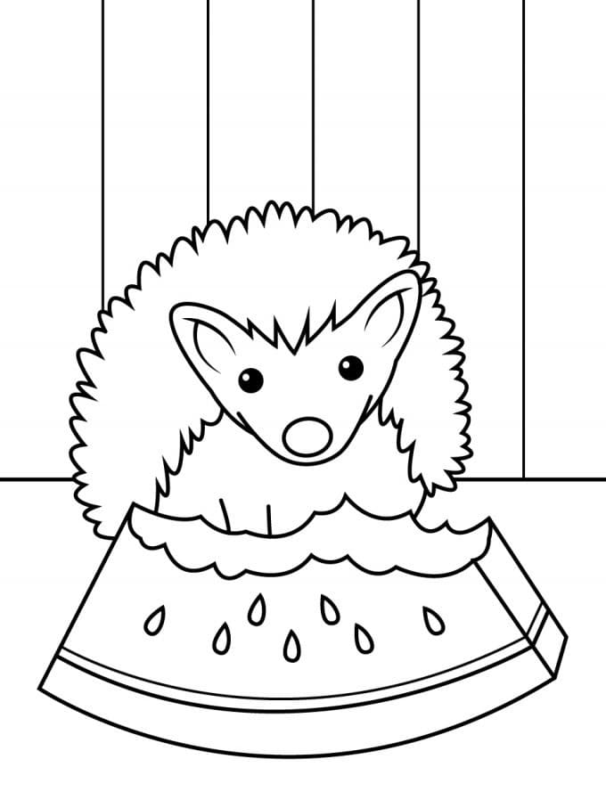 Zdarma Obrázek Ježek omalovánka