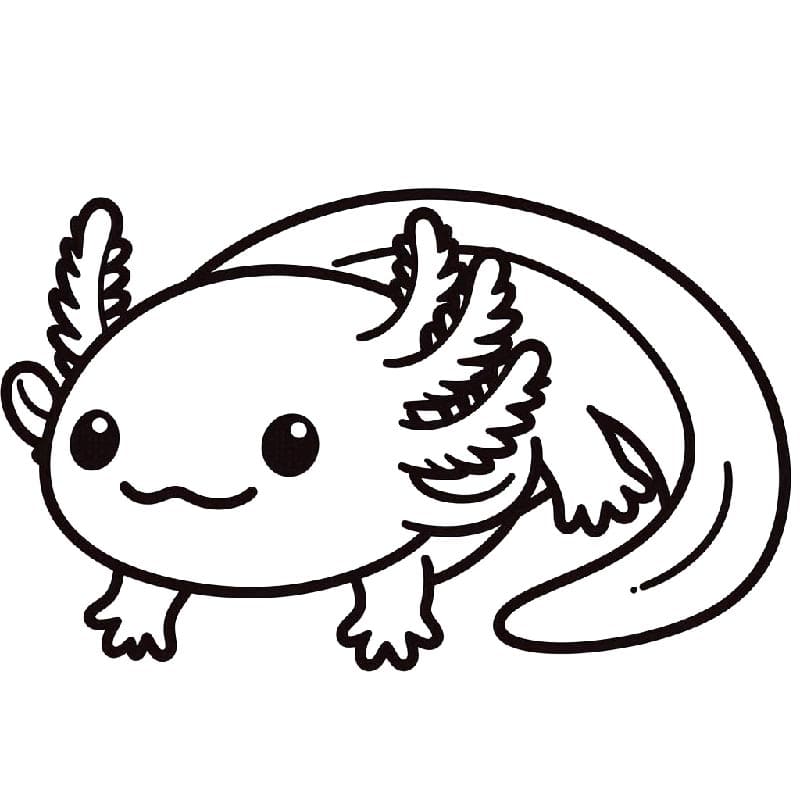 Zdarma Tisknutelný Axolotl omalovánka