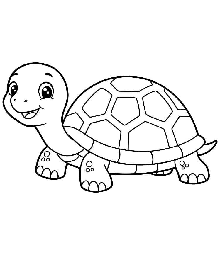 Želva Tisknutelná Zdarma omalovánka